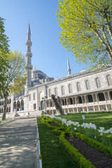 Fototapeta na wymiar External view of Sultanahmet mosque in Istanbul, Turkey.