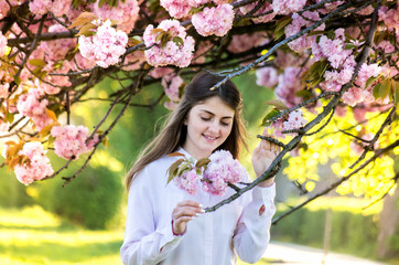 Fototapeta premium portrait of a young teenage girl looking at blooming sakura trees