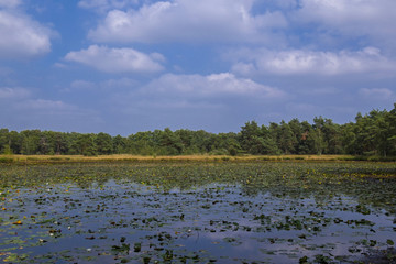 Schwattet Gatt, Naturschutzgebiet