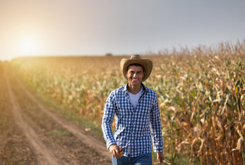Naklejka na ściany i meble Farmer in corn field