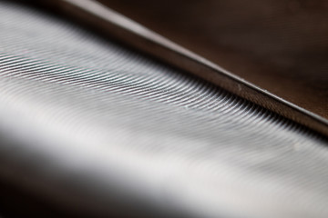 Close-up look on a brown feather