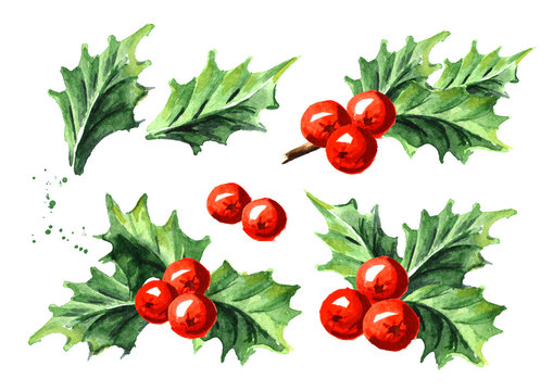 Christmas and New Year symbol decorative Holly berry set. Watercolor hand drawn illustration, isolated on white background
