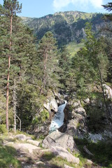 Cascade en montagne au milieu de la forêt et rochers temps ensoleillé