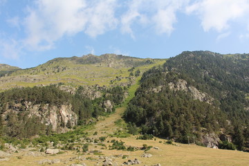 Fototapeta na wymiar Paysage de montagne forêt et roche Pyrénées ciel bleu et buageux