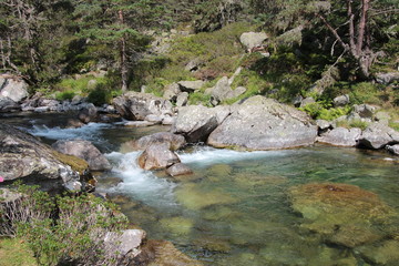 Rivière qui coule entre les rochers au milieu de la forêt eau transparente 