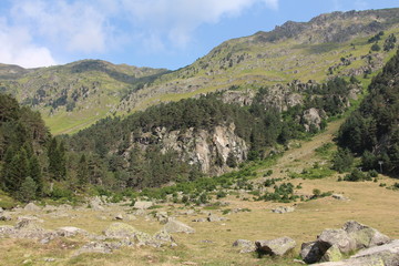 Panorama montagne ensoleillé Pyrénées forêt et rochers