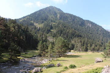 Panorama vallée montagne et forêt au bord de la rivière temps ensoleillé