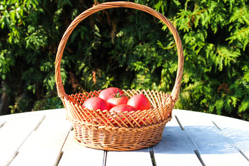 Red tomatoes in wicker basket on the garden.