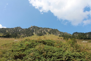 Paysage de montagne végétation ciel bleu et nuage