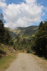 Chemin de randonnée en montagne ciel bleu et nuageux mode portrait