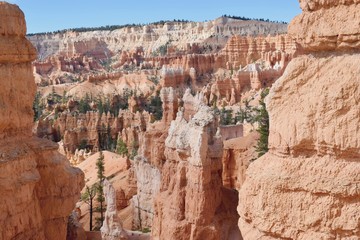 Fototapeta na wymiar Rocky landscape in Bryce Canyon, Utah, USA 