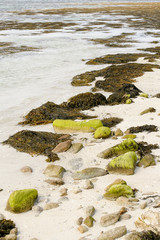 Coastline of Glenan archipelago in Brittany France