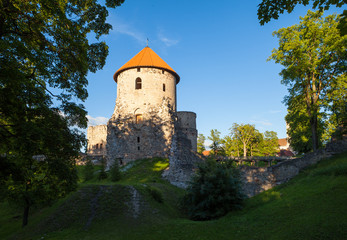 Fototapeta na wymiar Ruins of Cesis castle at sunset, Latvia. Summer season.