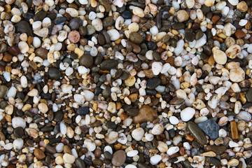 Background texture of wet multicolored stones on the beach.