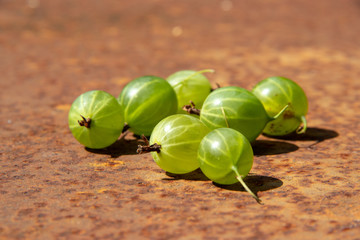 Some fresh gooseberry on rusty metal surface background in sunlights