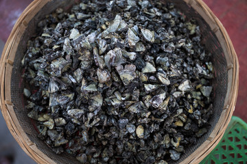 A variety of wild edible fungi with soil