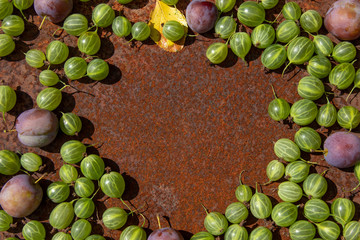 Rusty metal surface background with some fresh gooseberry and plums, empty space