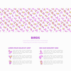 Birds concept with thin line icons set: dove, owl, penguin, sparrow, swallow, kiwi, parrot, eagle, humming bird, pink flamingo. Modern vector illustration, print media template.