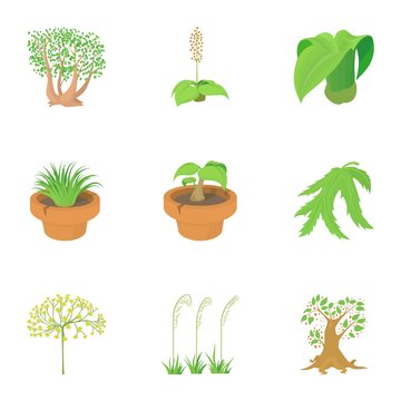 Spring plants icons set. Cartoon set of 9 spring plants vector icons for web isolated on white background