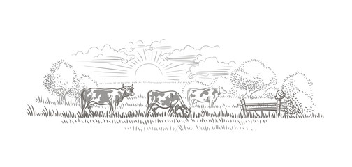 Cows grazing in a farmland/nature landscape vector sketch.  © yuromanovich