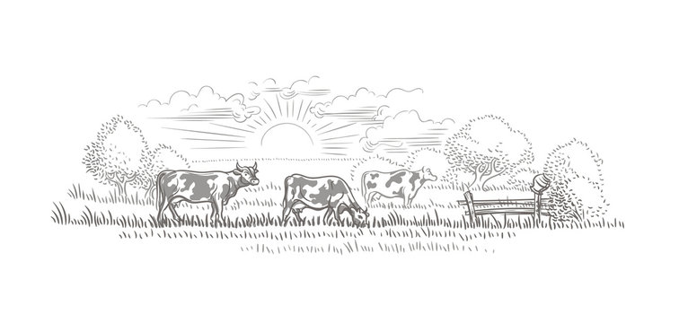 recommend clip art: Cows grazing in a farmland/nature landscape vector sketch. 