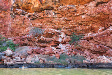 Exmouth, Western Australia - November 27, 2009: Yardie Creek Gorge in Cape Range National Park on North West Cape. Closeup of Red rock cliffs. Some green vegetation and greenish water at bottom. © Klodien