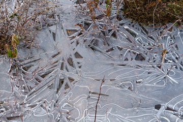 Puddle have frozen during the night in the city.  Crisp and transparent ice is beautiful to watch.