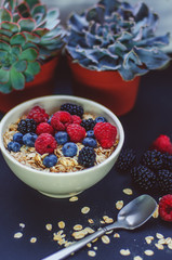 Healthy breakfast. White plate with oatmeal strewn and different berries on a blue background.