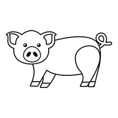 Cute pig icon. Outline illustration of cute pig vector icon for web design isolated on white background