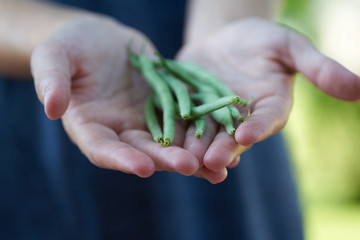 beans in hands