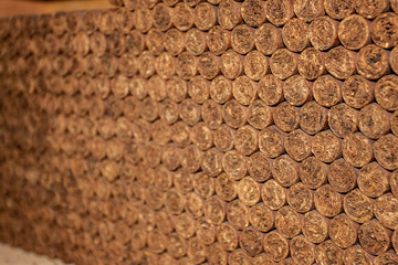 Einzelne Zigarren im Humidor einer Zigarrenfabrik