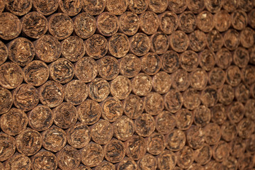 Einzelne Zigarren im Humidor einer Zigarrenfabrik