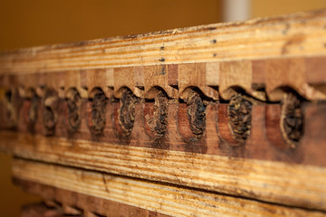 Zigarren Herstellung: Holzform zum Pressen