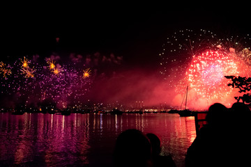 Bodensee Feuerwerk 2018 17