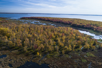 Aerial view over forest and marsh during vibrant autumn colors