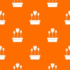 Tulips in box pattern repeat seamless in orange color for any design. Vector geometric illustration