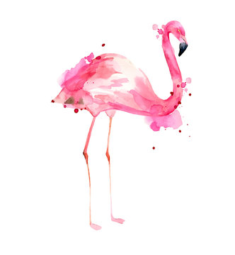 Watercolor hand drawn illustration pink flamingo. Tropical exotic bird rose flamingo with watercolor splashes on white background. Print for wrapping, wallpaper, cards, textile.