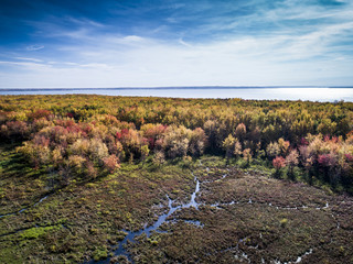Aerial view over forest and marsh during vibrant autumn colors