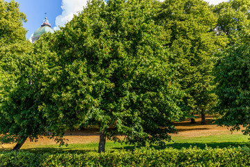 The old orthodox church of  Suomenlinna  in Finland - 2