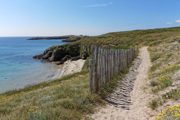 Fototapeta premium CHEMIN DE BORD DE MER