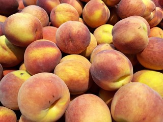 Pesche del mercato