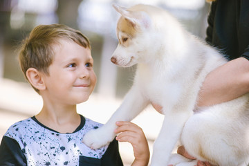 Cute Caucasian child holding Siberian husky outdoors