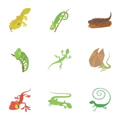 Different lizard icons set. Cartoon set of 9 different lizard vector icons for web isolated on white background