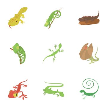 Different lizard icons set. Cartoon set of 9 different lizard vector icons for web isolated on white background