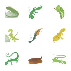 Types of reptile icons set. Cartoon set of 9 types of reptile vector icons for web isolated on white background