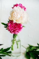 Flower background: white and pink Terry peonies in a glass vase