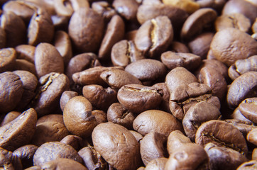 coffee beans scattered over the surface 4