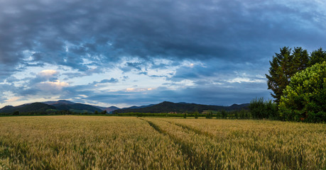 Fototapeta na wymiar Germany, XXL panorama of black forest mountain landscape behind fields at dawn