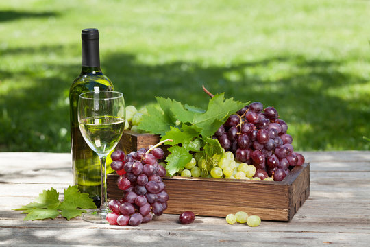 White wine and grape