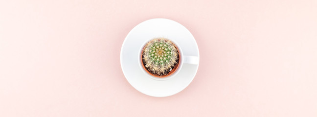 Top view of small cup with decorative cactus